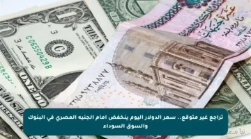 تراجع غير متوقع.. سعر الدولار اليوم ينخفض أمام الجنيه المصري في البنوك والسوق السوداء